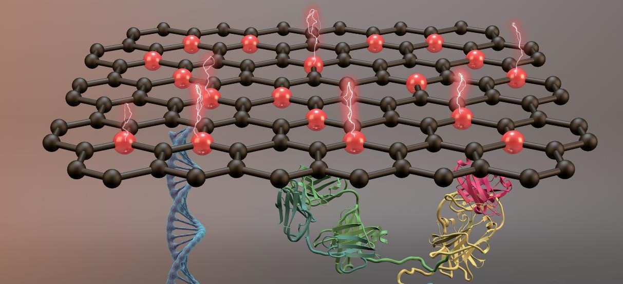 Advances on the Use of Graphene as a Label for Electrochemical Biosensors (ChemElectroChem 20/2020)