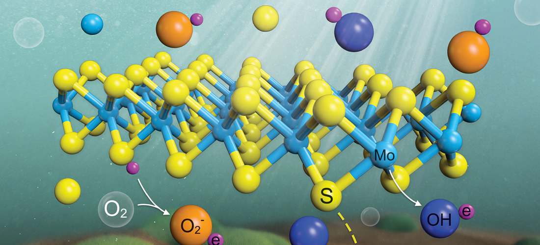 Dissolved Oxygen and Visible Light Irradiation Drive the Structural Alterations and Phytotoxicity Mitigation of Single-Layer Molybdenum Disulfide