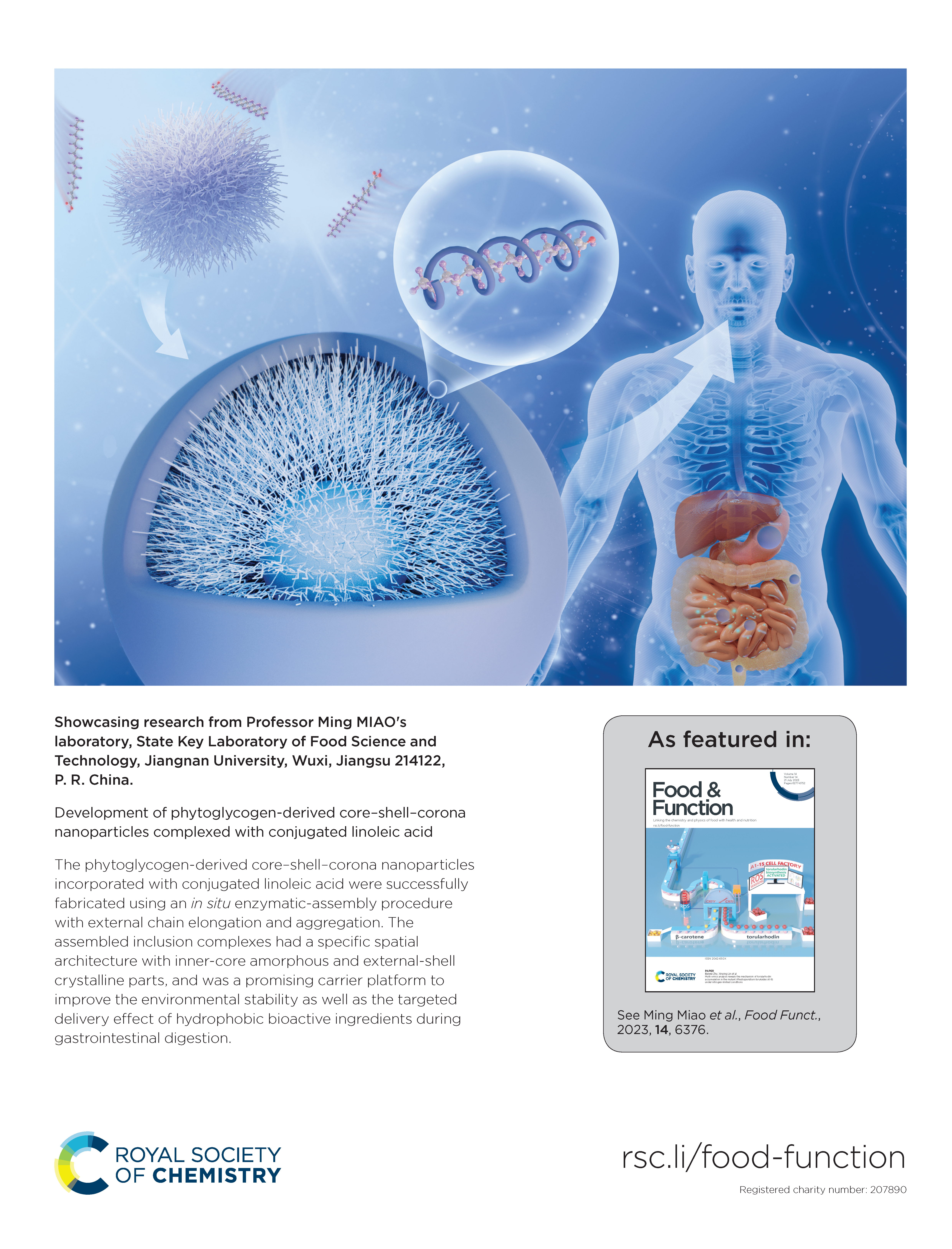 LetPub Journal Cover Art Design - Development of phytoglycogen-derived core–shell–corona nanoparticles complexed with conjugated linoleic acid