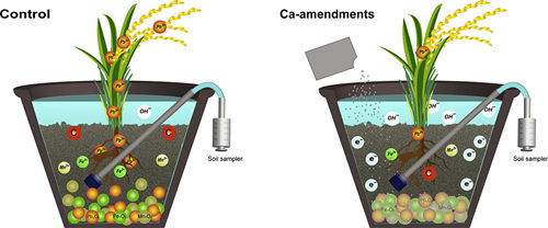 LetPub Graphical Abstract