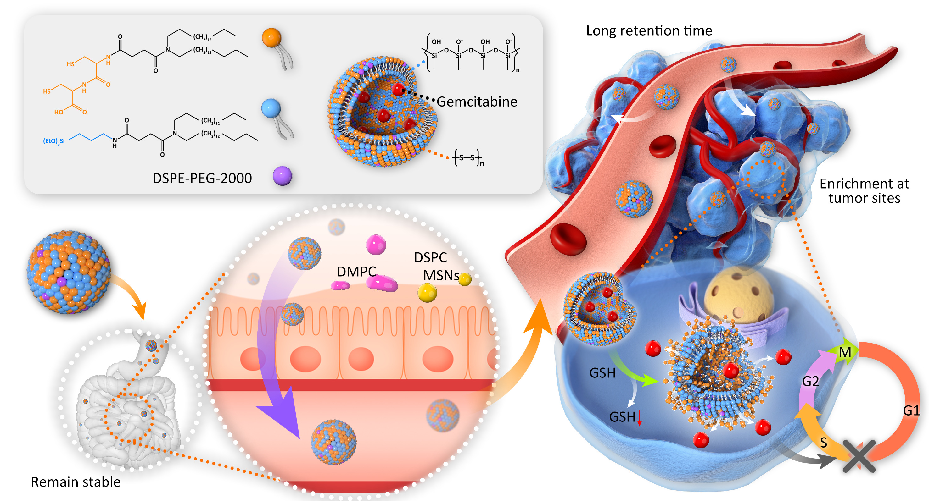 LetPub Graphical Abstract